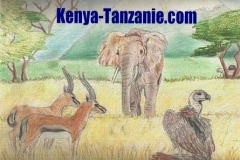 Alice Pages (12 ans) - Montpellier