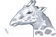 Barbara CASONI (15 ans) - Nice 06000