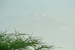 Il est là, devant nous !