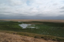 Amboseli
