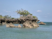 Des souvenirs impérissables