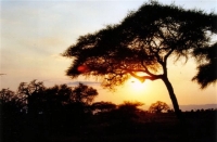 Coucher de soleil