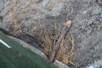 Un véritable bourbier