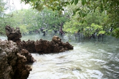 Des petits coins que l'on souhaite préserver,