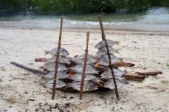 Un barbecue, ça vous tente ?