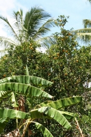 Il est agréable d'être là,