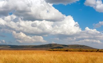 Climat du Kenya Savane dans le parc national du Kenya