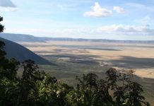 Cratère du Ngorongoro, Arusha, Zanzibar Cratère du Ngorongoro