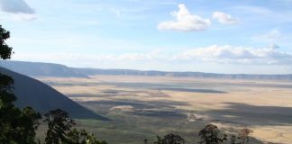 Cratère du Ngorongoro, Arusha, Zanzibar Cratère du Ngorongoro