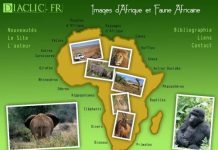 Images d’Afrique et Faune Africaine Le site Diaclic.fr,