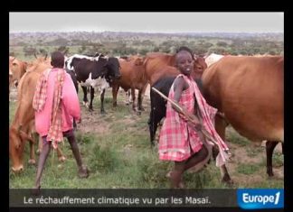 Réchauffement climatique vu par les Masaï