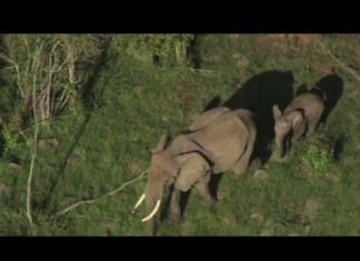 Réserve nationale du Masaï-Mara