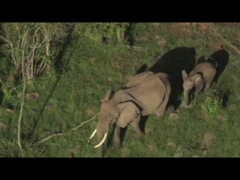 Réserve nationale du Masaï-Mara