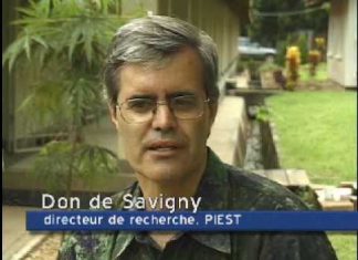 Paludisme : moustiquaires traitées