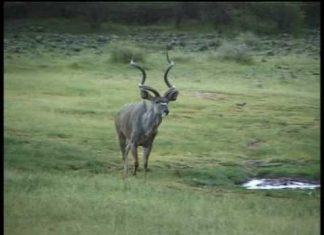 Guillaume Ratel : Conférencier