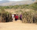 massai-0