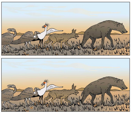 Niveau : moyen Feriez-vous un bon guide ? Niveau moyen