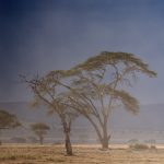 Climat en Tanzanie Paysage du Serengeti