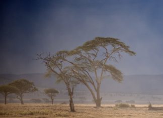 Climat en Tanzanie Paysage du Serengeti