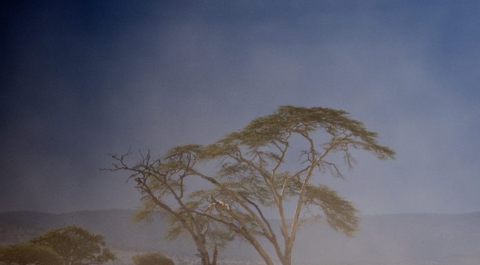 Climat en Tanzanie Paysage du Serengeti