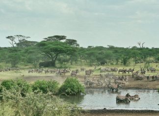 ATTENTION : maladresse égal DANGER !!! Il faut être là pour comprendre