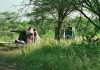 Olduvaï, Serengeti, lieux protégés En pleine nature