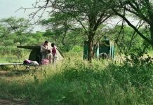 Olduvaï, Serengeti, lieux protégés En pleine nature
